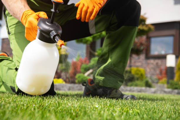 Best Mosquito Control Services  in Draper, UT