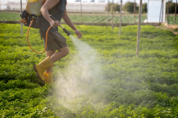 Pest Prevention Services in Draper, UT