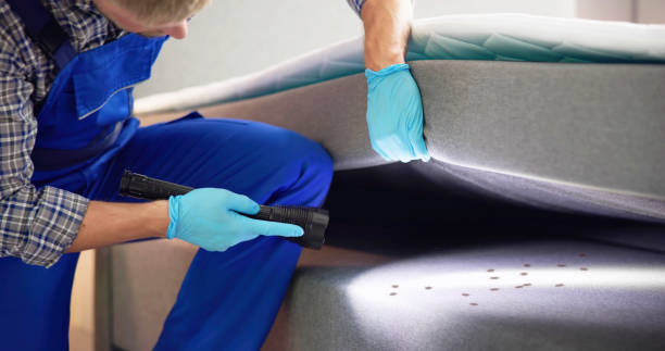 Best Residential Pest Control  in Draper, UT