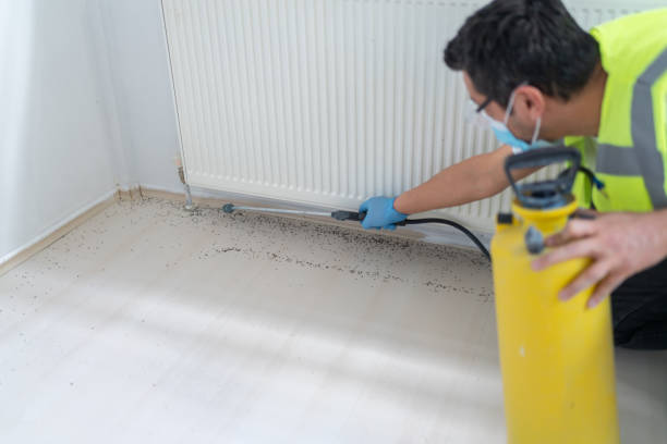 Best Local Pest Control Services  in Draper, UT