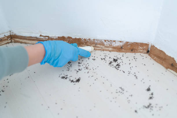 Wildlife Control Services in Draper, UT